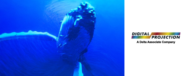 Проекторы Digital Projection отправили зрителей кинофестиваля в путешествие