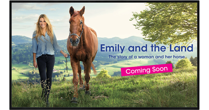 Sharp PN-HY431-06 Sharp PN-HY431-06