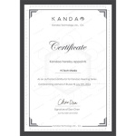 Сертификат дистрибьютора Kandao 2024 год