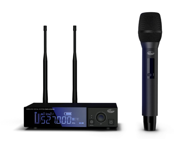 Радиосистема Октава OWS-U1200H вошла в райдер Анны Семенович, фото-03