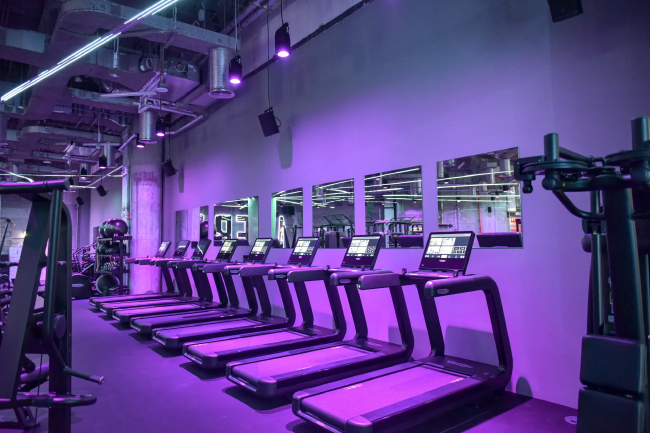 Аудиосистема EM Acoustics для «короля фитнес-клубов» в Дубае, фото-2